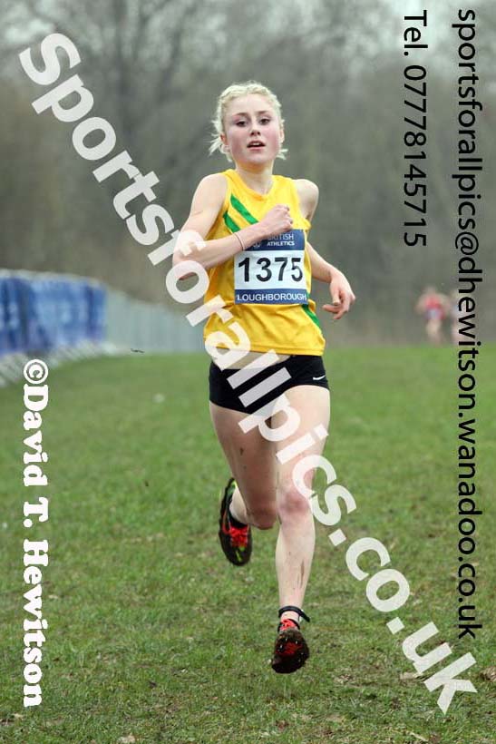 Senior womens Inter Counties Cross Country, Prestwold Hall, Loughborough. Photo: David T. Hewitson/Sports for All Pics